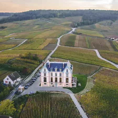 Maison d'hôtes Magnifique Grange Renovee Au Coeur De La Champagne 3*