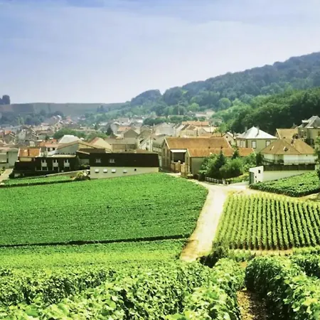 Magnifique Grange Renovee Au Coeur De La Champagne Maison d'hôtes Les Mesneux