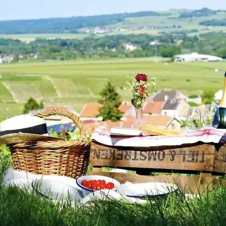 Magnifique Grange Renovee Au Coeur De La Champagne Maison d'hôtes Les Mesneux