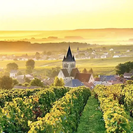 Magnifique Grange Renovee Au Coeur De La Champagne Maison d'hôtes Les Mesneux
