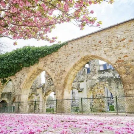 Magnifique Grange Renovee Au Coeur De La Champagne Maison d'hôtes